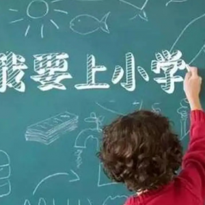 太原市中小学网报准备材料