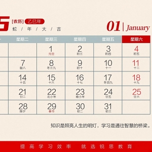 限量！锐思专属新年台历免费领取！