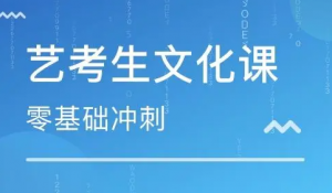 太原市杏花岭区高三艺术生文化课补习辅导机构